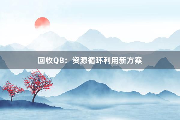 回收QB：资源循环利用新方案